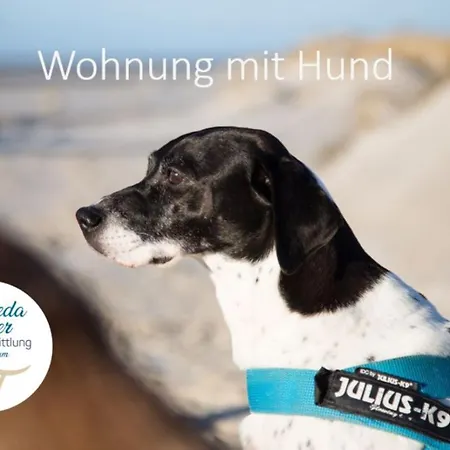 Koje - Hues In Lee Apartman