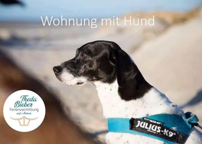 Koje - Hues In Lee شقة